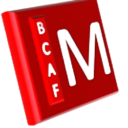 Plateforme Educative de BMCAF d&eacute;di&eacute;e au SUTSAS